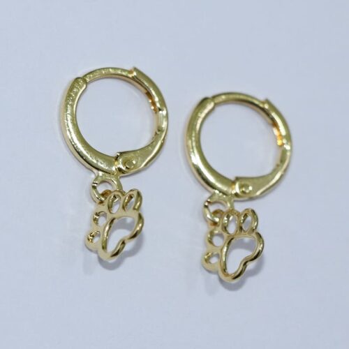 BRINCO ARGOLINHA C/ PATINHA