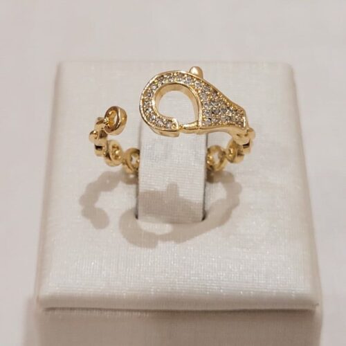 ANEL AJUSTAVEL FECHO CRAVEJADO